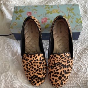 Birdies The Starling Cheetah